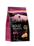 Dog Adult Salmon & Potatoes Hundfoder 3kg