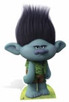 Branch from DreamWorks Trolls Cardboard Cutout / Standee / Standup Timberlake