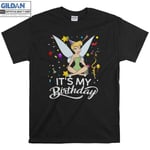 Tinker Bell It's My Birthday T-shirt