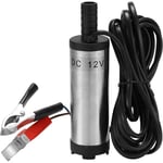 Argenté Pompe submersible électrique dc 12V pompes submersibles en acier inoxydable pour l'eau huile kérosène 12 L/min outil de ravitaillement