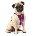 Kurgo, Enhanced Strength Tru-Fit Smart Harness for Dogs, Purple, Extra Small