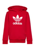 Adidas Originals Trefoil Hoodie Röd