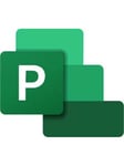 Microsoft Office Project Professional - uppgraderi