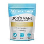 Lions Mane Supplement 4000mg | 2 Month Daily Supply | Lion's Mane Mushroom