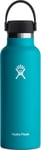 Hydro Flask Standard Mouth Flex 532 ml Laguna, 532 ml