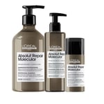 L'Orea Kit Serie Ex Absolut Repair Molecular Sh 500ml + Serum 250ml + mask