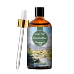 PHATOIL Huile Parfumée Oasis De Charme 100ml, Huile Essentielle pour Diffuseur Aromathérapie Humidificateur, Charming Oasis Oil