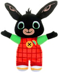 Bing Talking Rainybow - Bing Plush