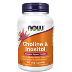 Choline & Inositol 500 mg 100 Caps By Now Foods