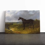 Big Box Art Canvas Print Wall Art John Frederick Herring Black Horse | Mounted & Stretched Box Frame Picture | Home Decor for Kitchen, Living Room, Bedroom, Hallway, Multi-Colour, 30x20 Inch