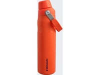 Water Bottle Stanley The Aerolight Iceflow Fast Flow Tigerlily Plum, 600 Ml