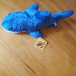 With Snuggles Card Factory Blue/White Shark Collectible Stuffed Animal Plush Toy