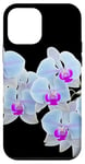 Coque pour iPhone 12 mini Magnifique orchidée Phalaenopsis bleu clair Formes noires Mania