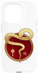 iPhone 15 Pro Zen Taiji Lucky Money Red Pocket Snake Year Pj ART ON BACK Case