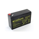 Batterie plomb 12V 6Ah Exalium EXA1224W F1- F2+