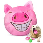 ZENAPOKI Jouet Chien Jouet pour Chien 3 en 1 Cochon - Jouets pour Chiens 3-en 1 avec 2 Peluche pour Chien & Balle Chien Indestructible - pour Gros Macheurs