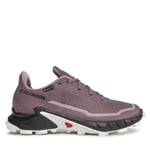 Löparskor Salomon Alphacross 5 Gtx W GORE-TEX 473110 23 W0 Lila