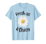 Womens Daisy Tee Cute Daisy Graphic Fresh As A Daisy T-Shirt