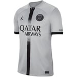 T-shirt Nike  Maillot Repl Psg M Nk Df Stad Jsy Ss Aw (smoke Gr)