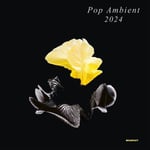 Diverse Artister  Pop Ambient 2024  LP/Vinyl