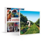 SMARTBOX - coffret cadeau couple - À la découverte de nos vignobles - idée cadeau originale - 1 visite de vignoble avec dégustation de vin pour 1 ou 2 personnes