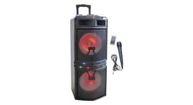 Enceinte karaoke trolley   bluetooth  1000w