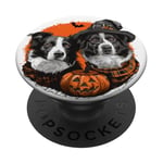 Halloween Border Collie Dogs Cute Witch Dog Pumpkin Bat PopSockets Swappable PopGrip