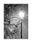 Wee Blue Coo Lonely Street Lamp Winter Night Black White Photo Picture Wall Art Print