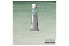 Watercolour Proff. 5Ml Terre Verte 637