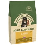 Ekonomipack: 2 x 10/12 kg James Wellbeloved hundfoder - Adult Large Breed Lamb & Rice (2 x 12 kg)