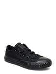 Converse Ct Ox Svart