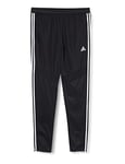 Adidas Men's TIRO19 WRM PNT Sport Trousers, Black/White, MT2