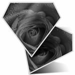 2 x Diamond Stickers 7.5cm BW - Rose Macro Shot Water Droplets  #37626