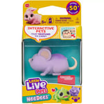 Little Live Pets NeeDees Scampee Mouse