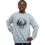 Sweat-shirt enfant Fantastic Beasts  Magical Congress