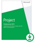 Microsoft Project 2013 Professionnel - France