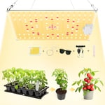 VAYALT Lampe LED Horticole, 600W Lampe Horticole LED Spectre Complet, Usine Élèvent la Lumière Lampe de Croissance pour la Croissance et Floraison Des Plantes en Intérieur Hydroponic