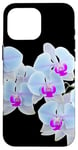 Coque pour iPhone 16 Pro Max Magnifique orchidée Phalaenopsis bleu clair Formes noires Mania