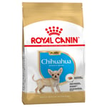 Royal Canin Chihuahua Puppy - 3 x 1,5 kg