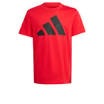 adidas Mixte Enfant Essentials BIG Logo T-Shirt, Pure Ruby/Black, 7-8 Years