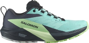 Trailskor Salomon SENSE RIDE 5 GTX W l47216000 Storlek 44 EU 1700