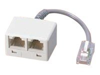 Btr It Connect Isdn-Adapter Mit Verlangerung We 8 - 2 X We 8 R - Isdn-Adapter - Rj-45 (Hona) Till Rj-45 (Hane) - 10 Cm