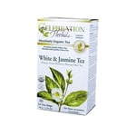Organic White & Jasmine Tea 24 Bags