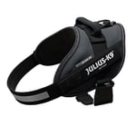 Julius-K9 IDC Powerharness, Anthracite, M/0