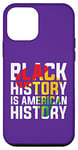 iPhone 12 mini Black History is American History Black History Month Case