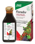 Floradix Liquid Iron and Vitamin Formula 250ml-Contains Herbal Extracts