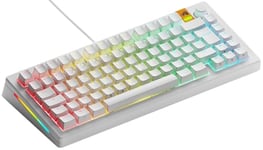 Glorious Gaming GMMK 3 : Clavier réactif, Effet Hall, taux de Polling 8K, switches MX et magnétiques (Hot Swap), Clavier 75%, Joints modulaires, Capuchons doubleshot PBT, française AZERTY - Blanc