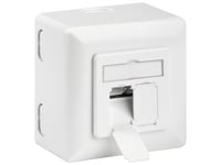 Digitus Dn-9007-S-1 - Uttag För Nedsänkt Montering - Cat 6 - Stp - Rj-45 X 2 - Ral 1013