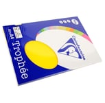 Clairefontaine Lot de 10 Ramettes 50 Feuilles Papier 160g A4 210x297 mm Certifié FSCjaune soleil