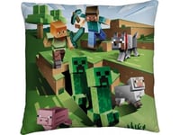 Minecraft Creeper Pyntepude